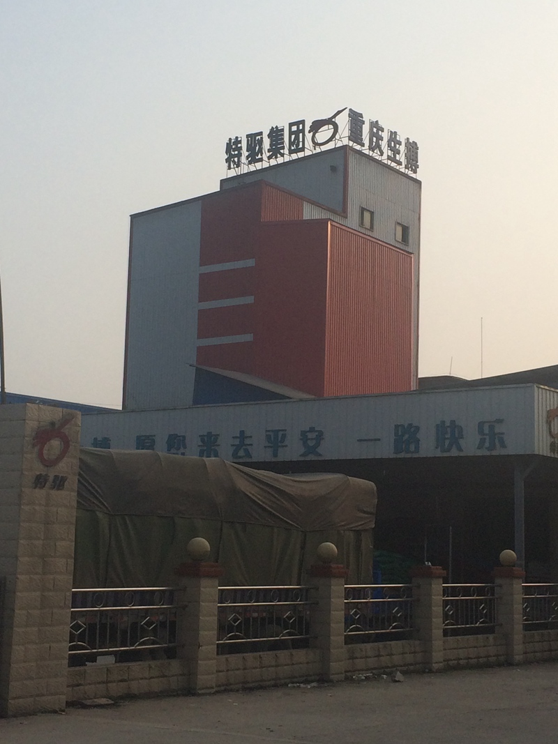 Chongqing Shengbo Laying Hen Line and Fish Line Project