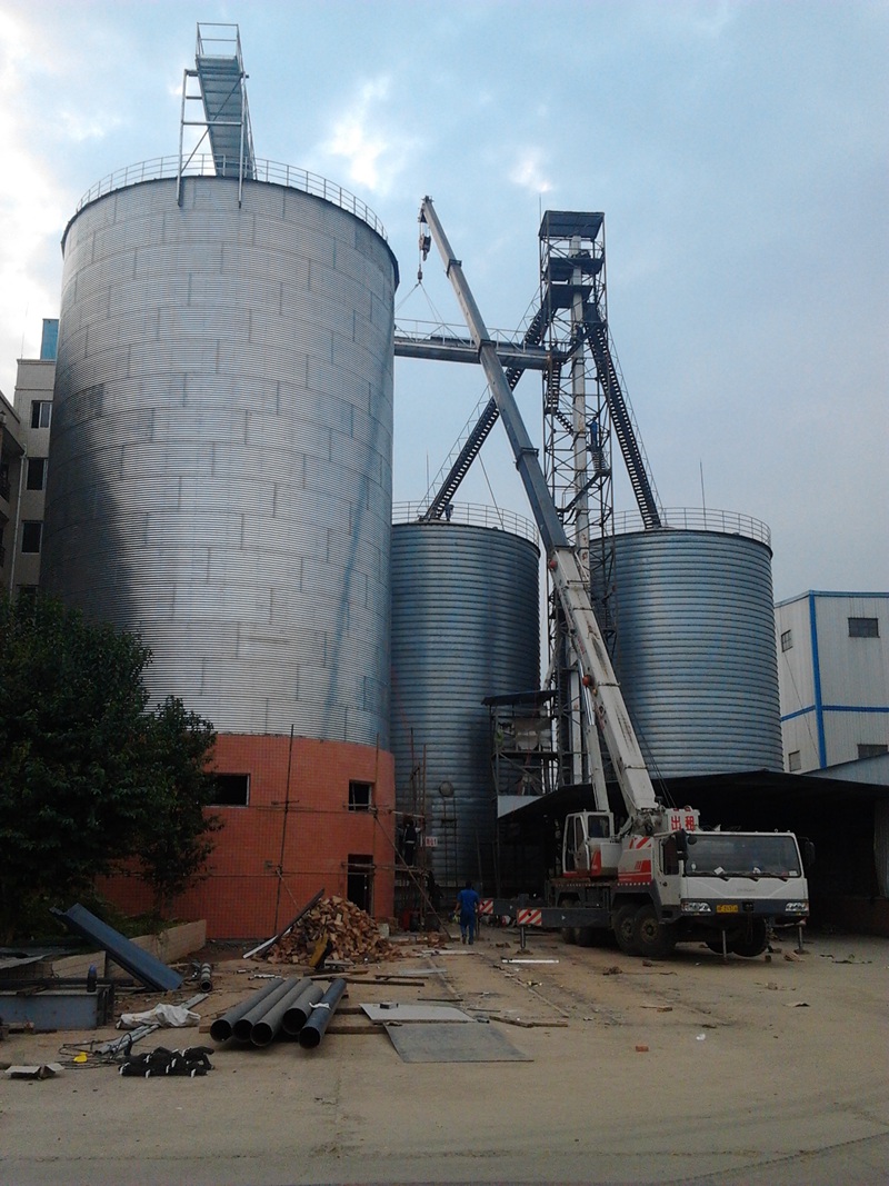 Zhongjiang Wenshi Silo Project
