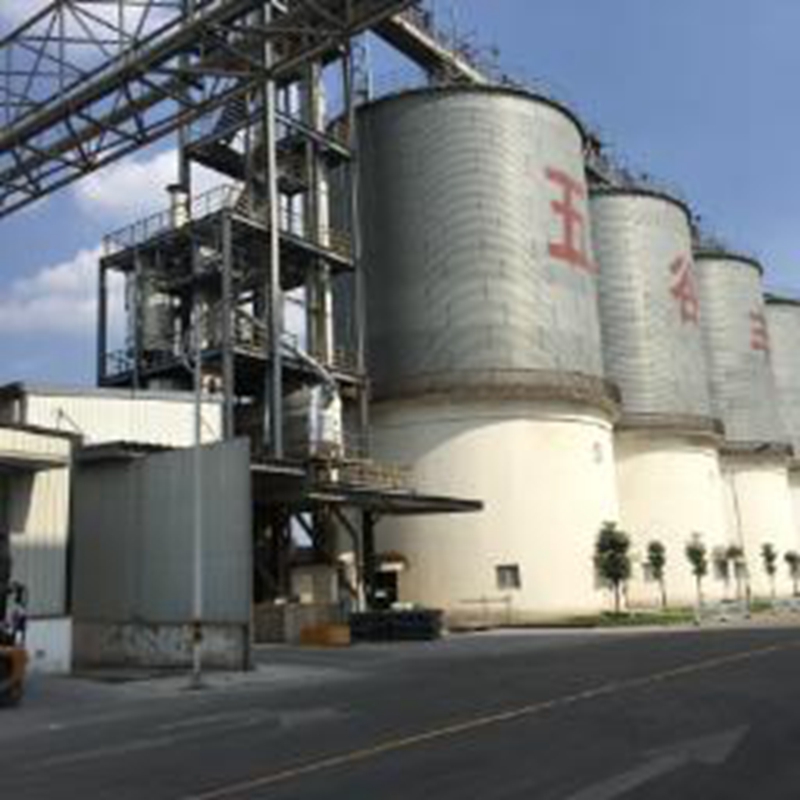 Xinjin Hope Silo Technical Transformation Project